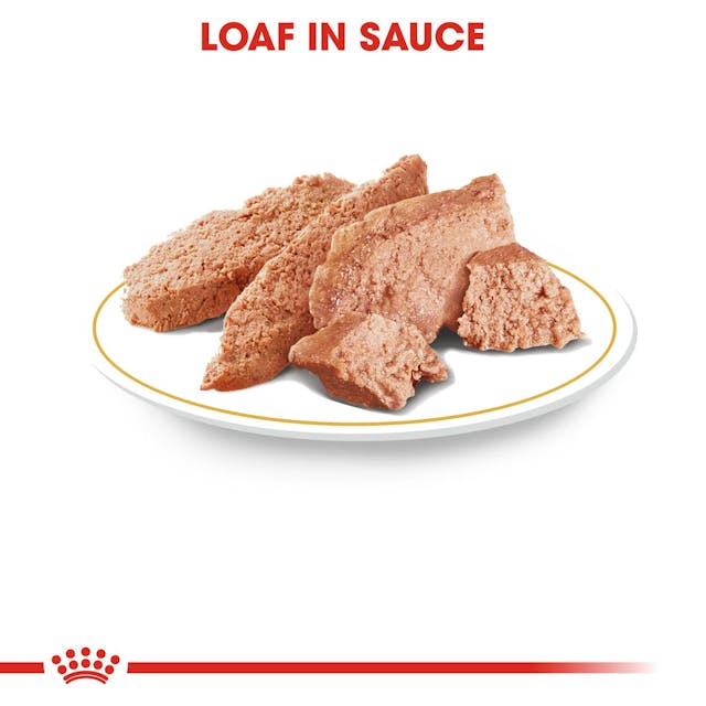 Chihuahua Adult in Loaf (paté in saus) 12x85g