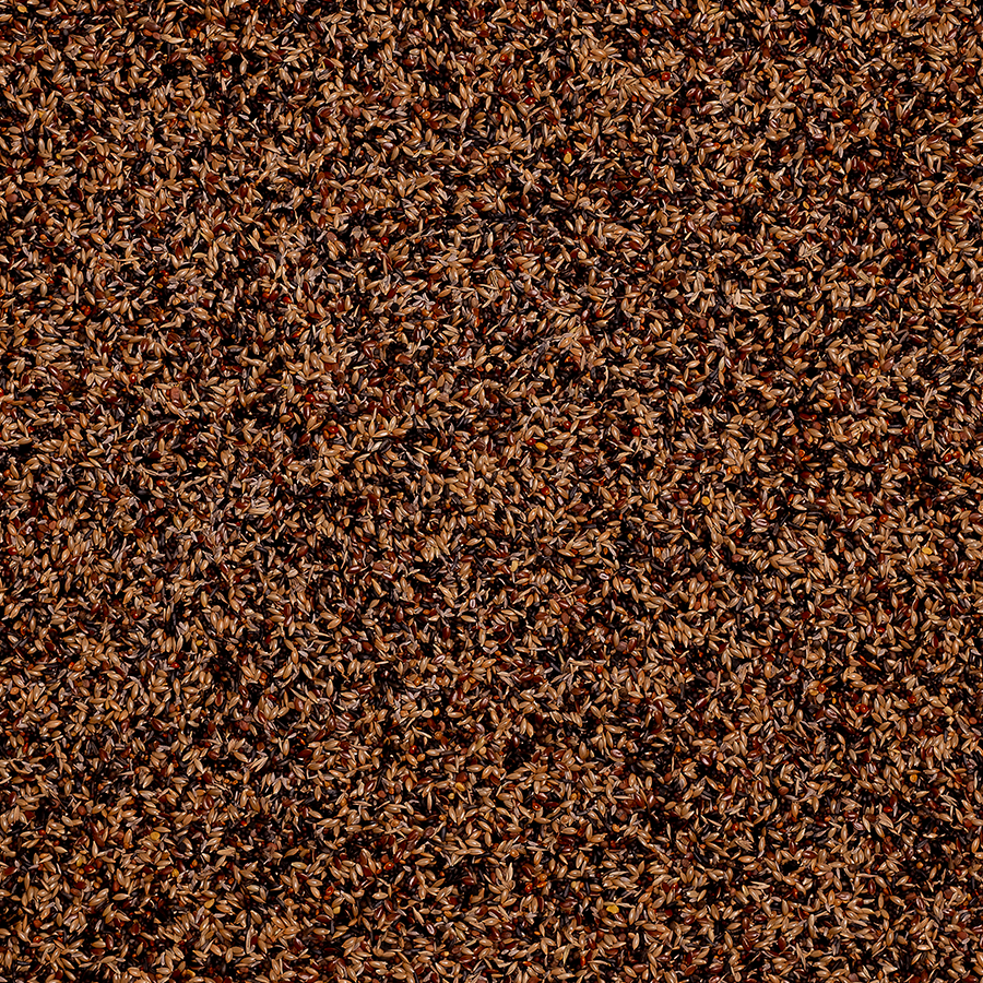 Europese Vogels Premium 4kg