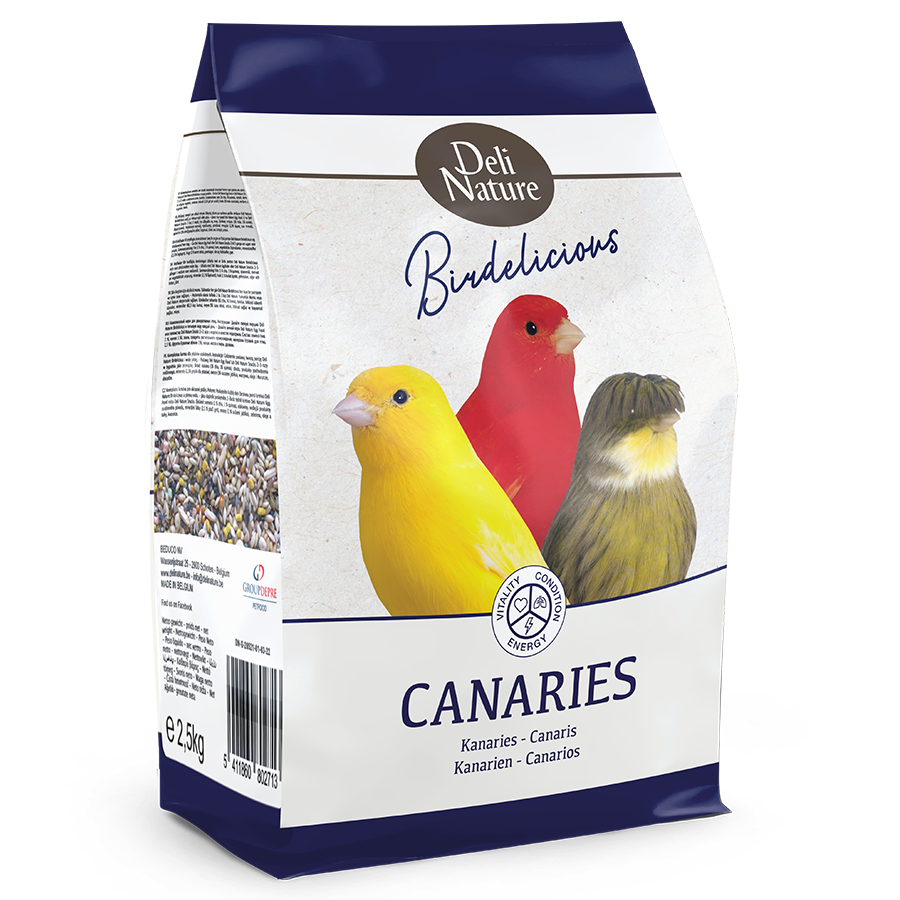 Canaries Birdelicious