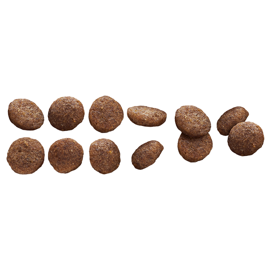 Puppy Lamb & Rice All Size