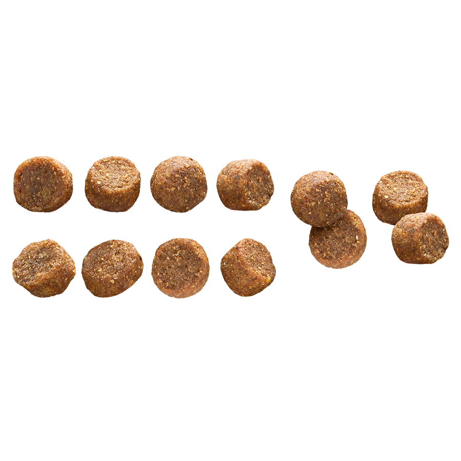 Small Adult Chicken & Rice