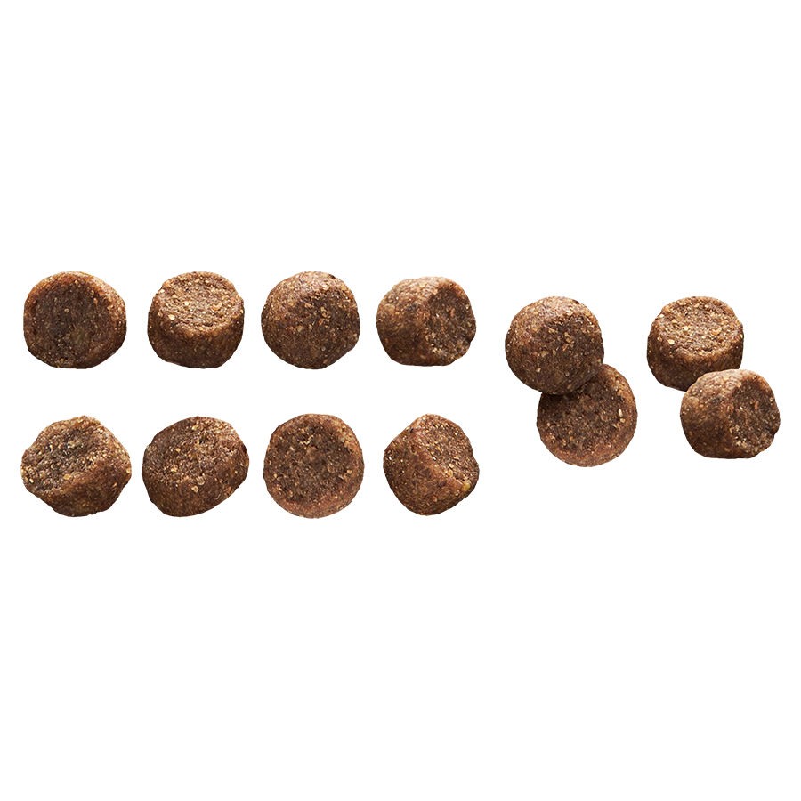 Small Adult Lamb & Rice