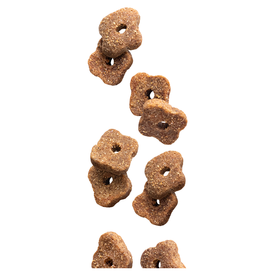 Senior Chicken & Rice