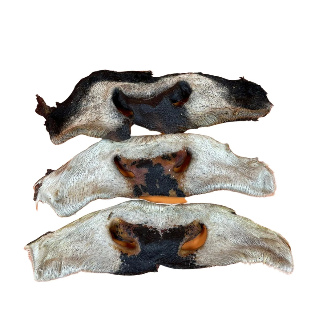 Koeienneus met vacht Natuurlijke hondensnack