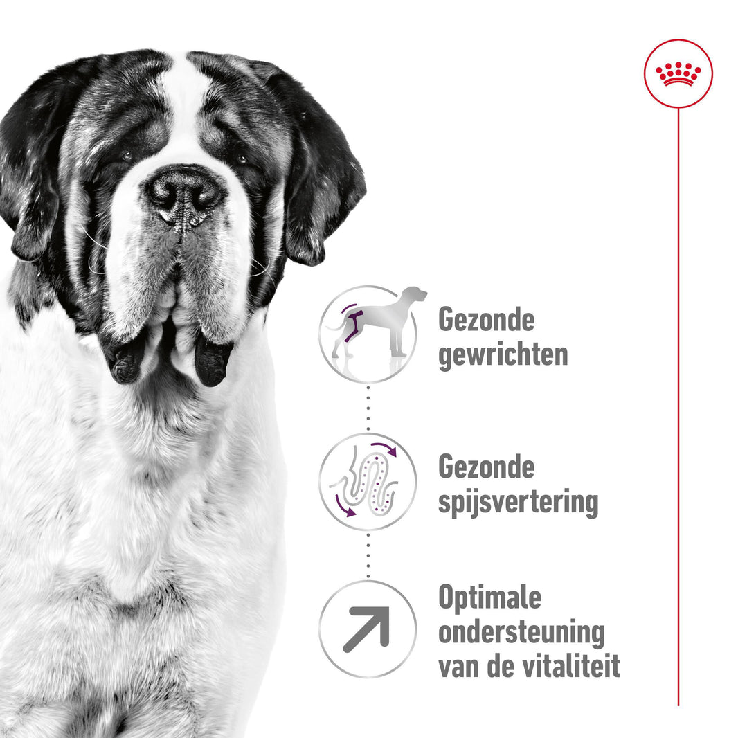 Giant Adult 15kg