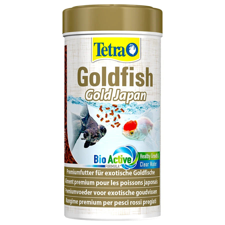 Tetra Goldfish Gold Japan