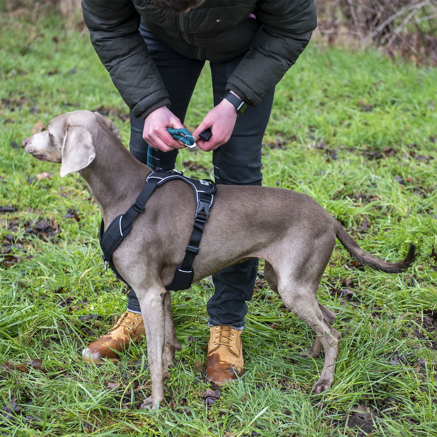 JV EXPEDITION Tuigje Zwart