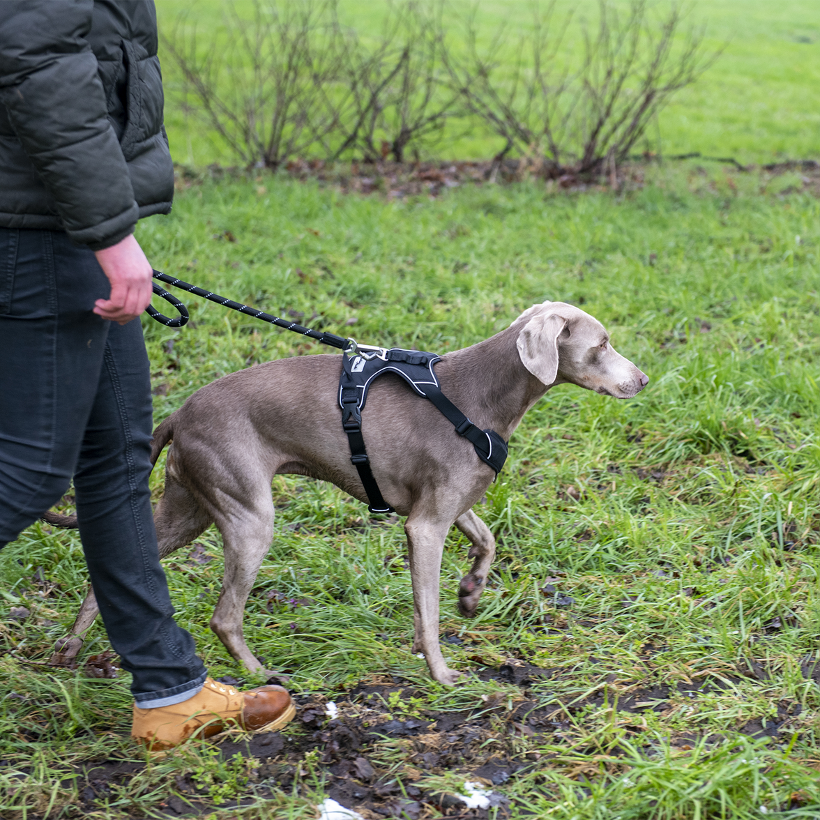 JV EXPEDITION Tuigje Zwart