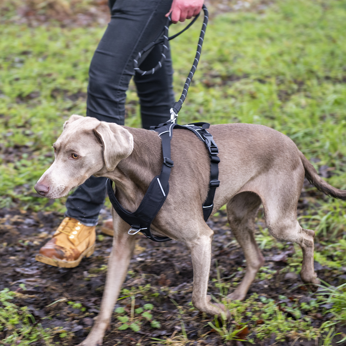 JV EXPEDITION Tuigje Zwart