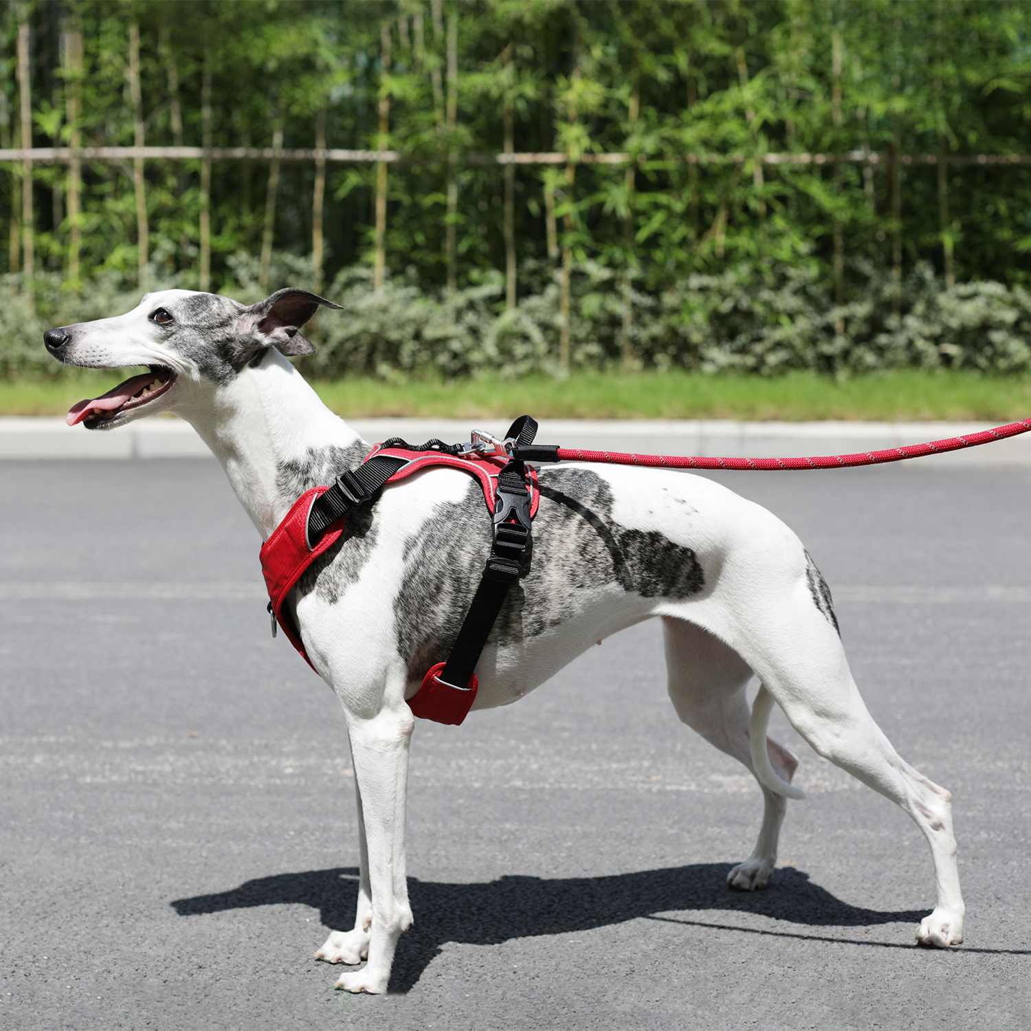 JV EXPEDITION Tuigje Rood