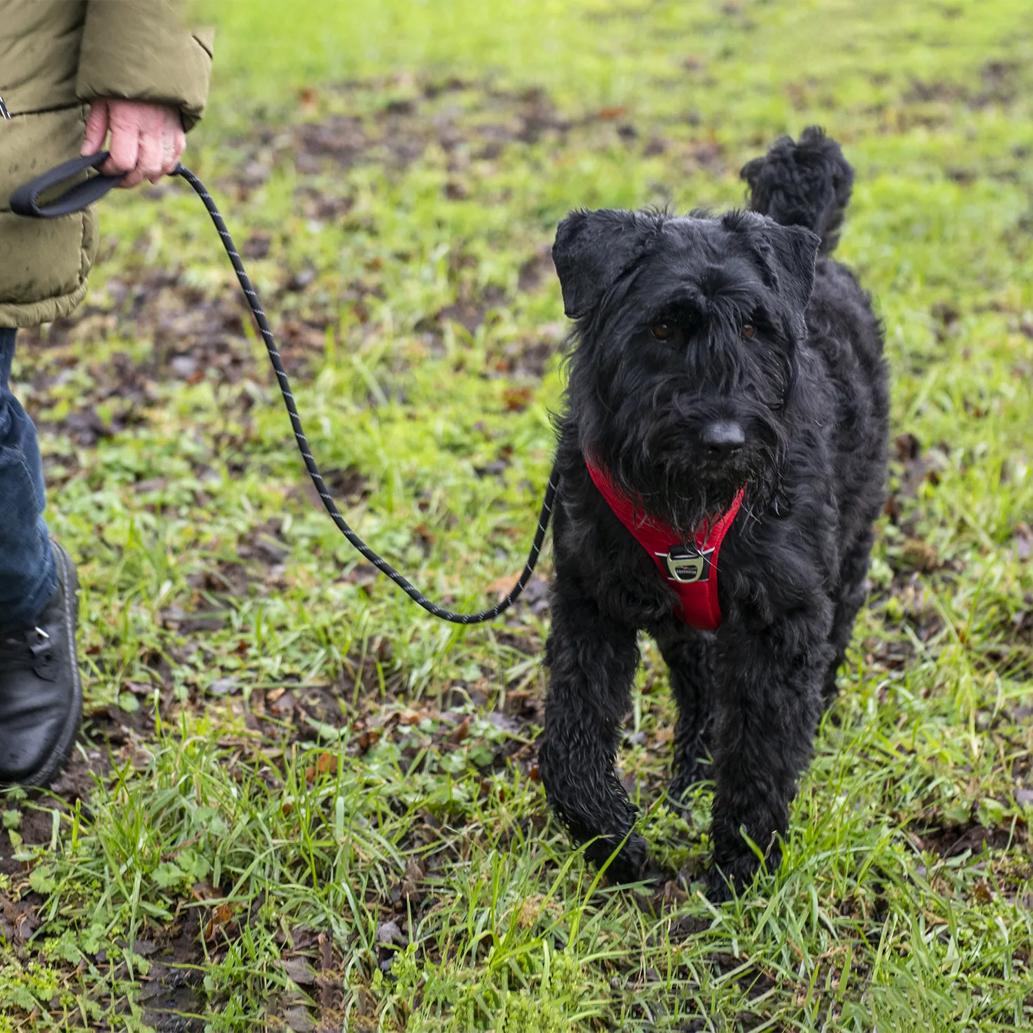 JV EXPEDITION Tuigje Rood