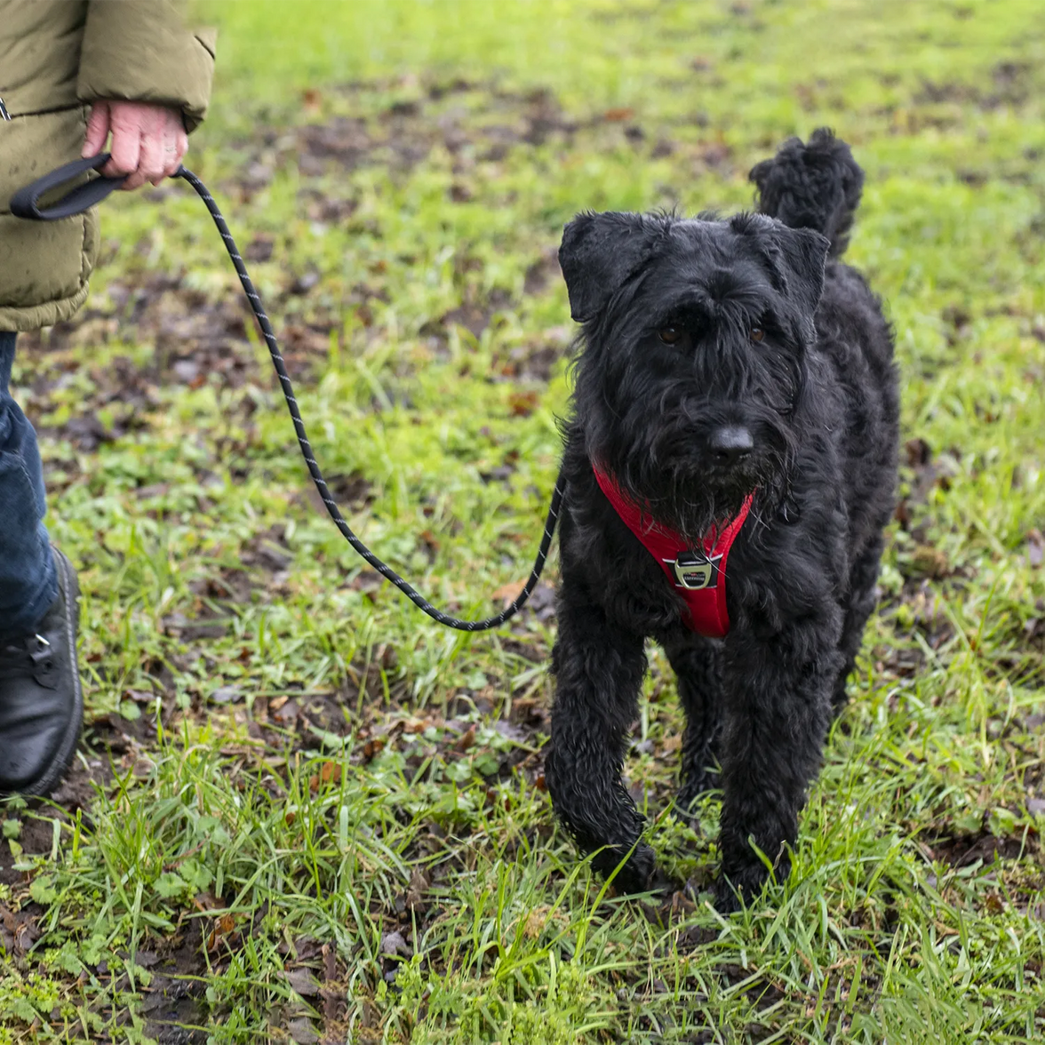 JV EXPEDITION Tuigje Rood