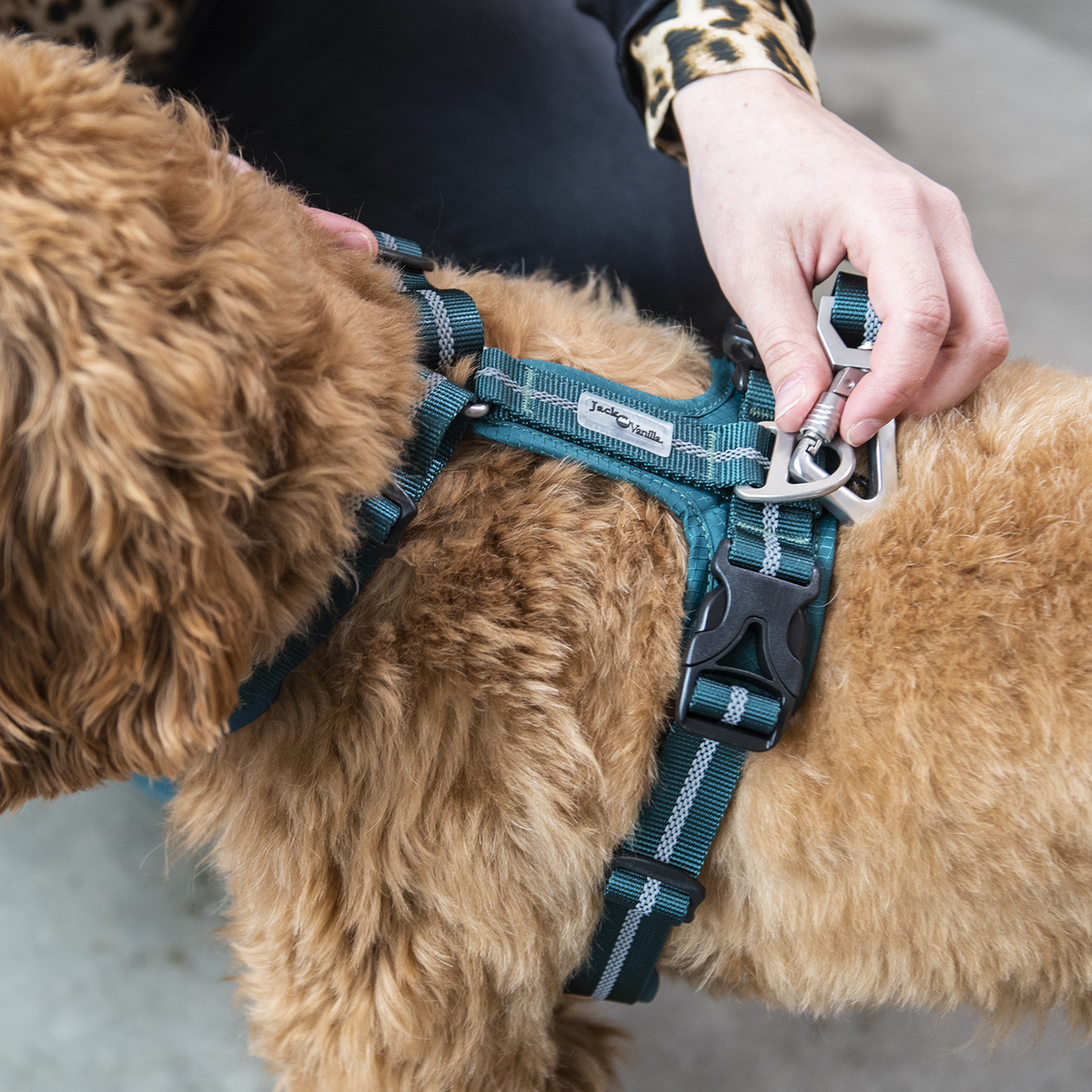 JV EXPEDITION Verstelbare Leiband Blauw