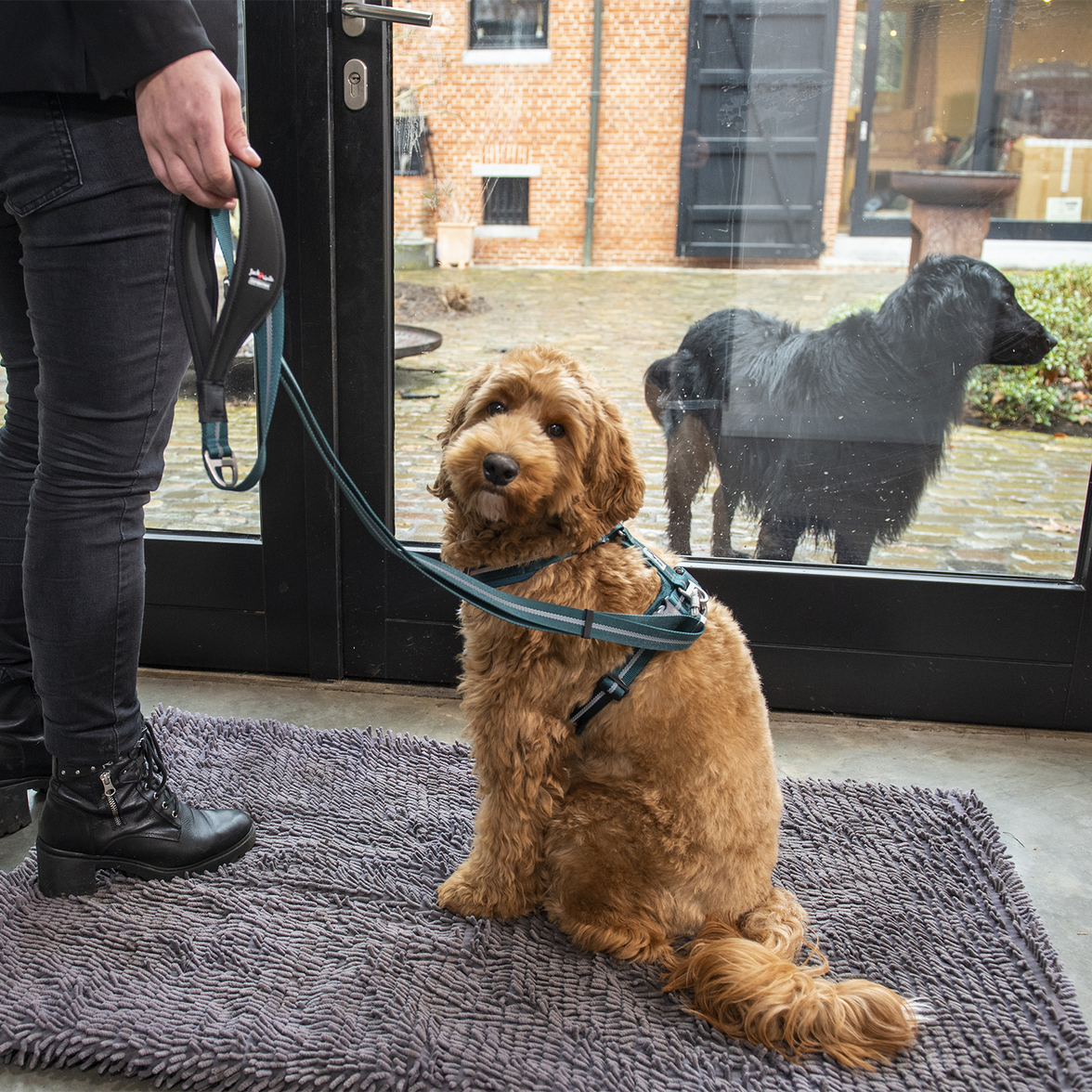 JV EXPEDITION Verstelbare Leiband Blauw