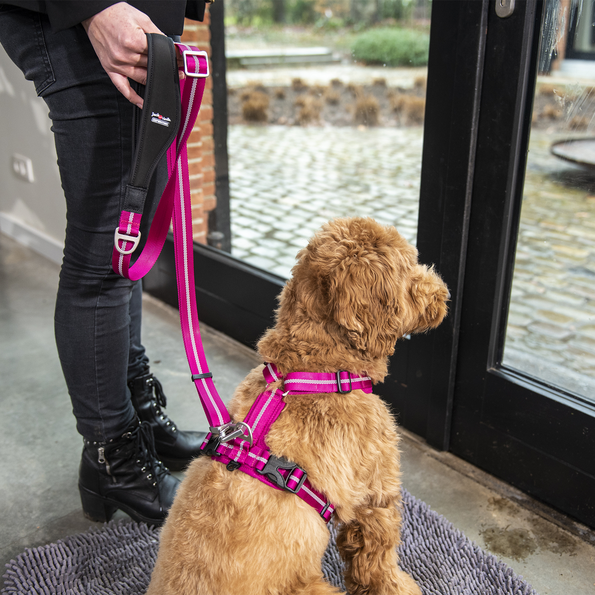 JV EXPEDITION Verstelbare Leiband Fuchsia