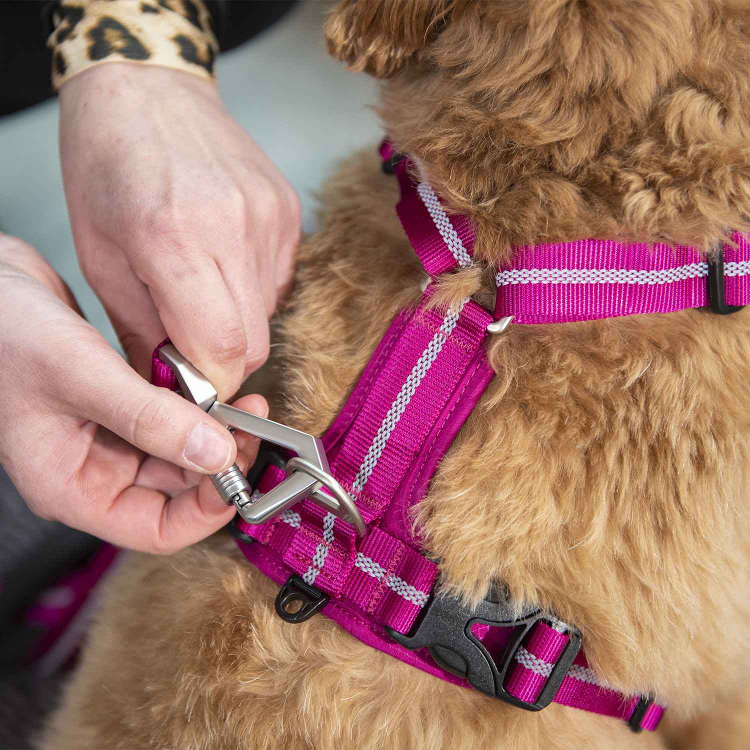 JV EXPEDITION Verstelbare Leiband Fuchsia