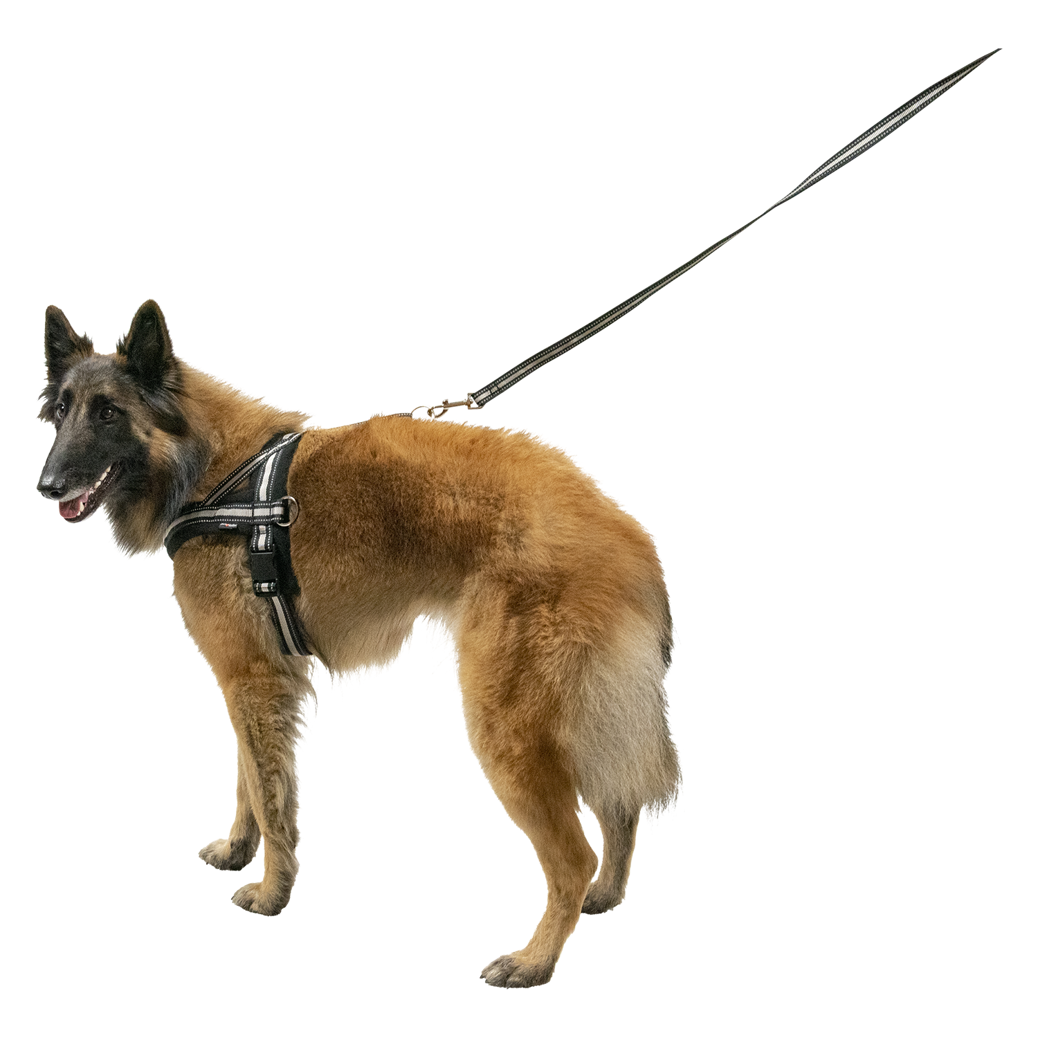 JV OUTDOOR Tuigje Zwart