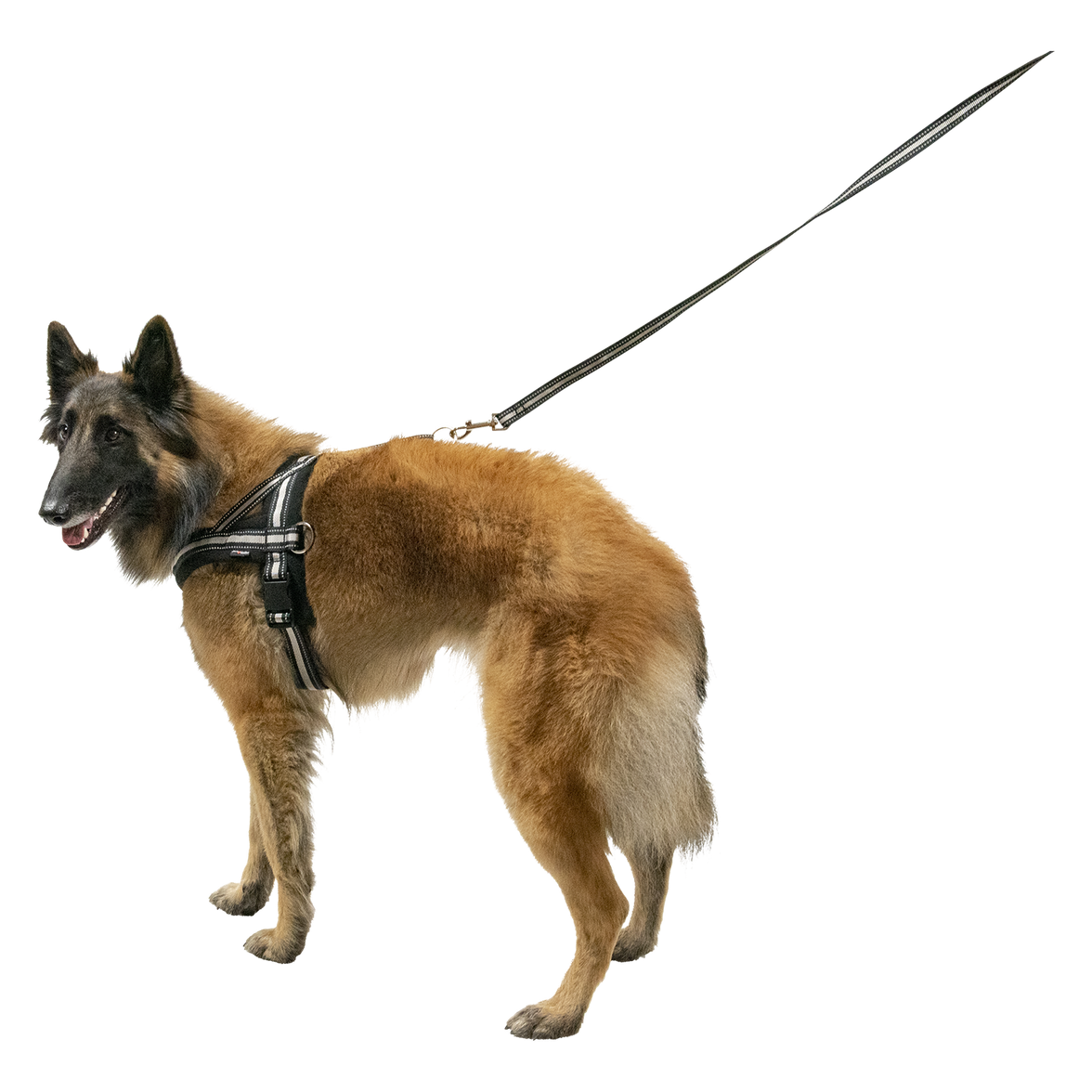 JV OUTDOOR Tuigje Zwart