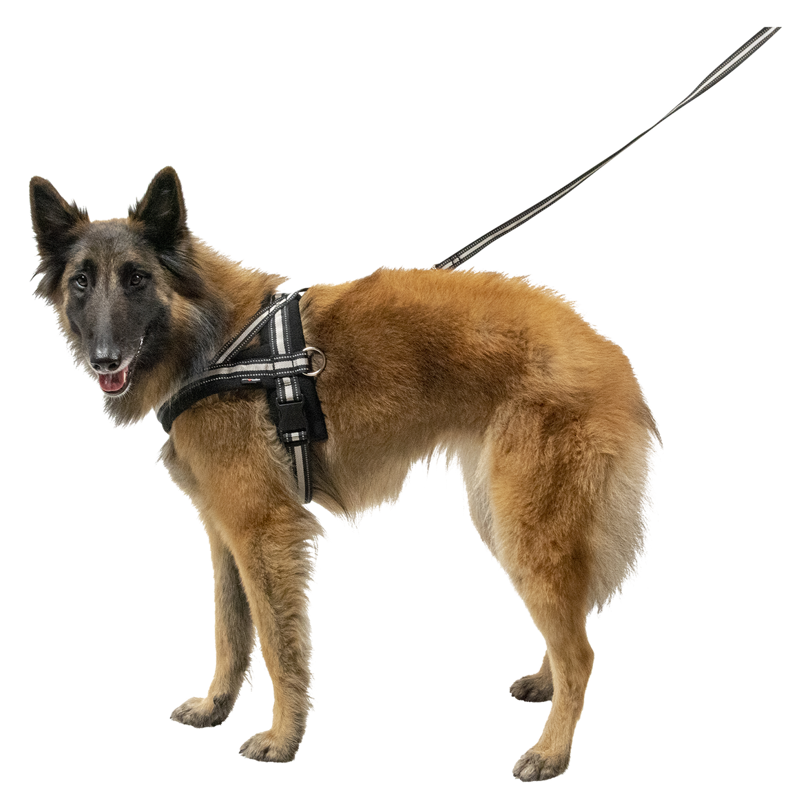 JV OUTDOOR Tuigje Zwart