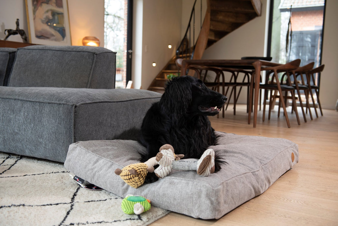 JV VELVETIES Kikker-Varken-Koe Assorti 28cm