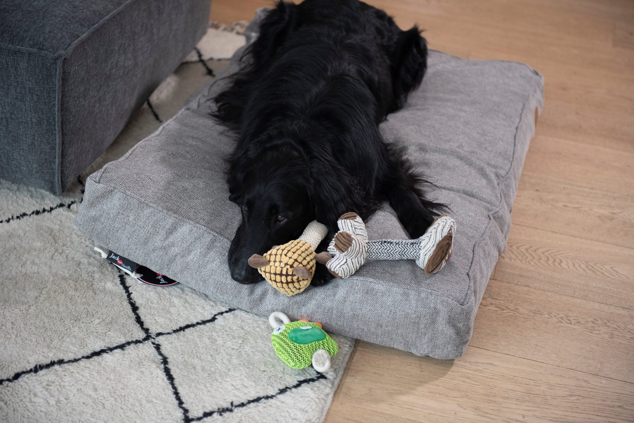 JV VELVETIES Kikker-Varken-Koe Assorti 28cm