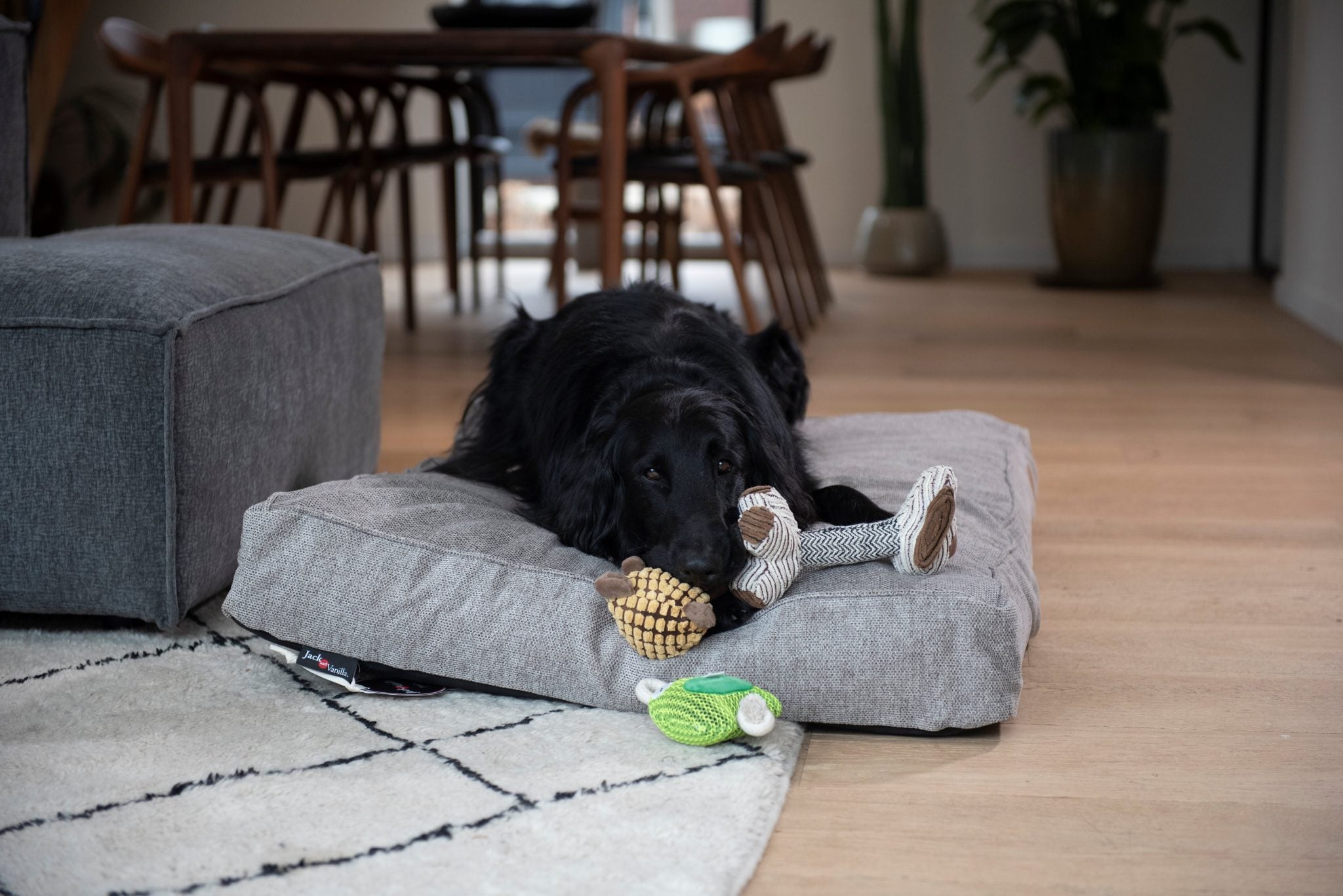 JV VELVETIES Kikker-Varken-Koe Assorti 28cm