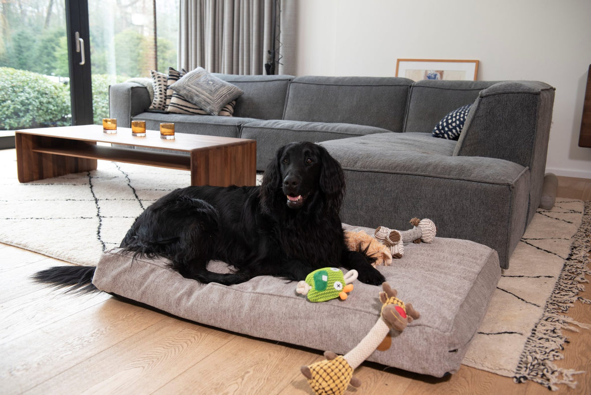 JV VELVETIES Kikker-Varken-Koe Assorti 28cm