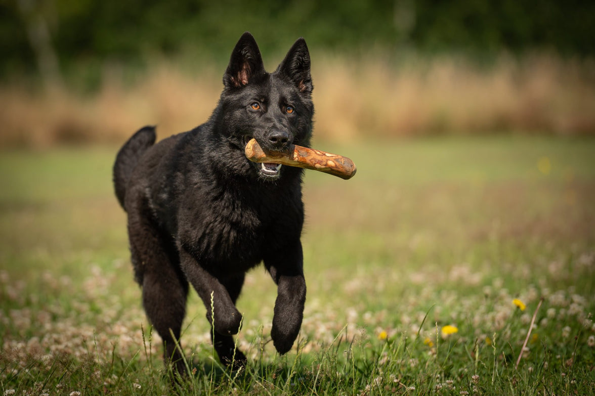 ALL NATURE Olijfhout