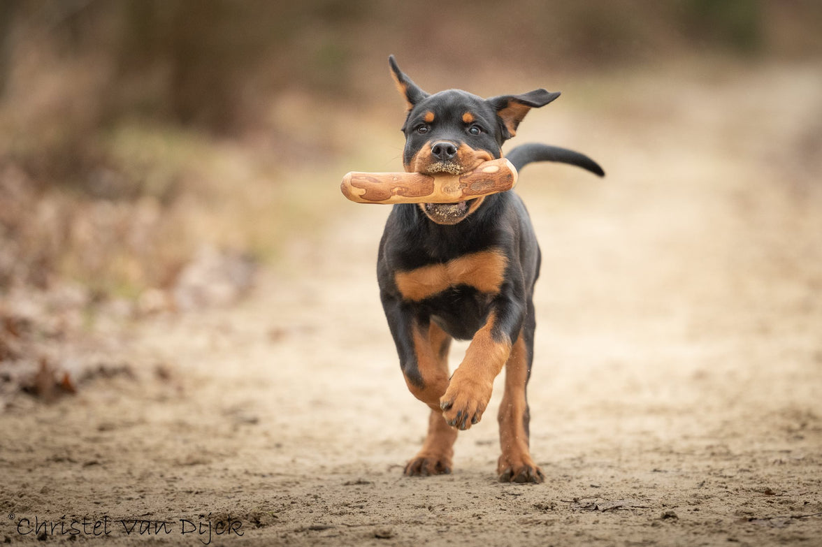 ALL NATURE Olijfhout