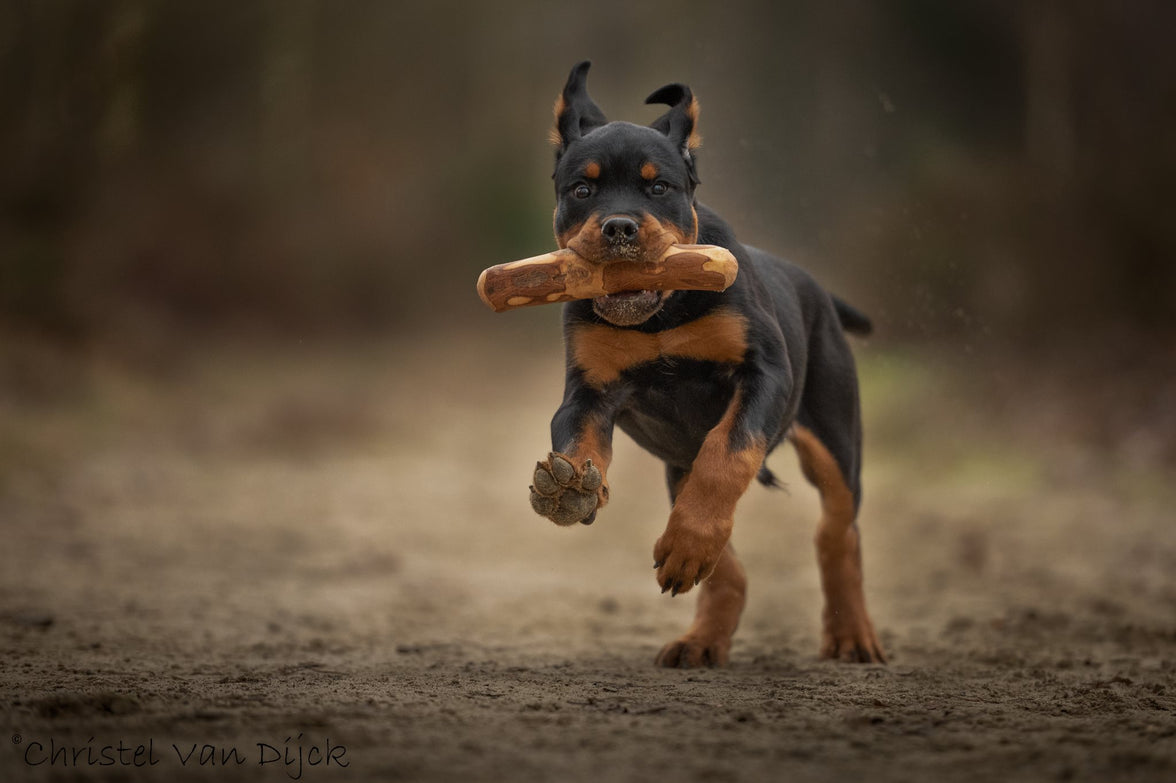 ALL NATURE Olijfhout