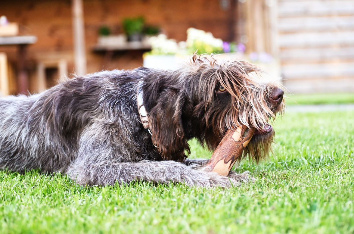 ALL NATURE Olijfhout