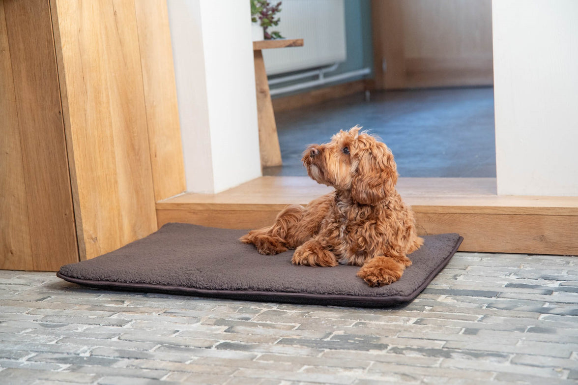 JV BROOKLYN Benchkussen Bruin