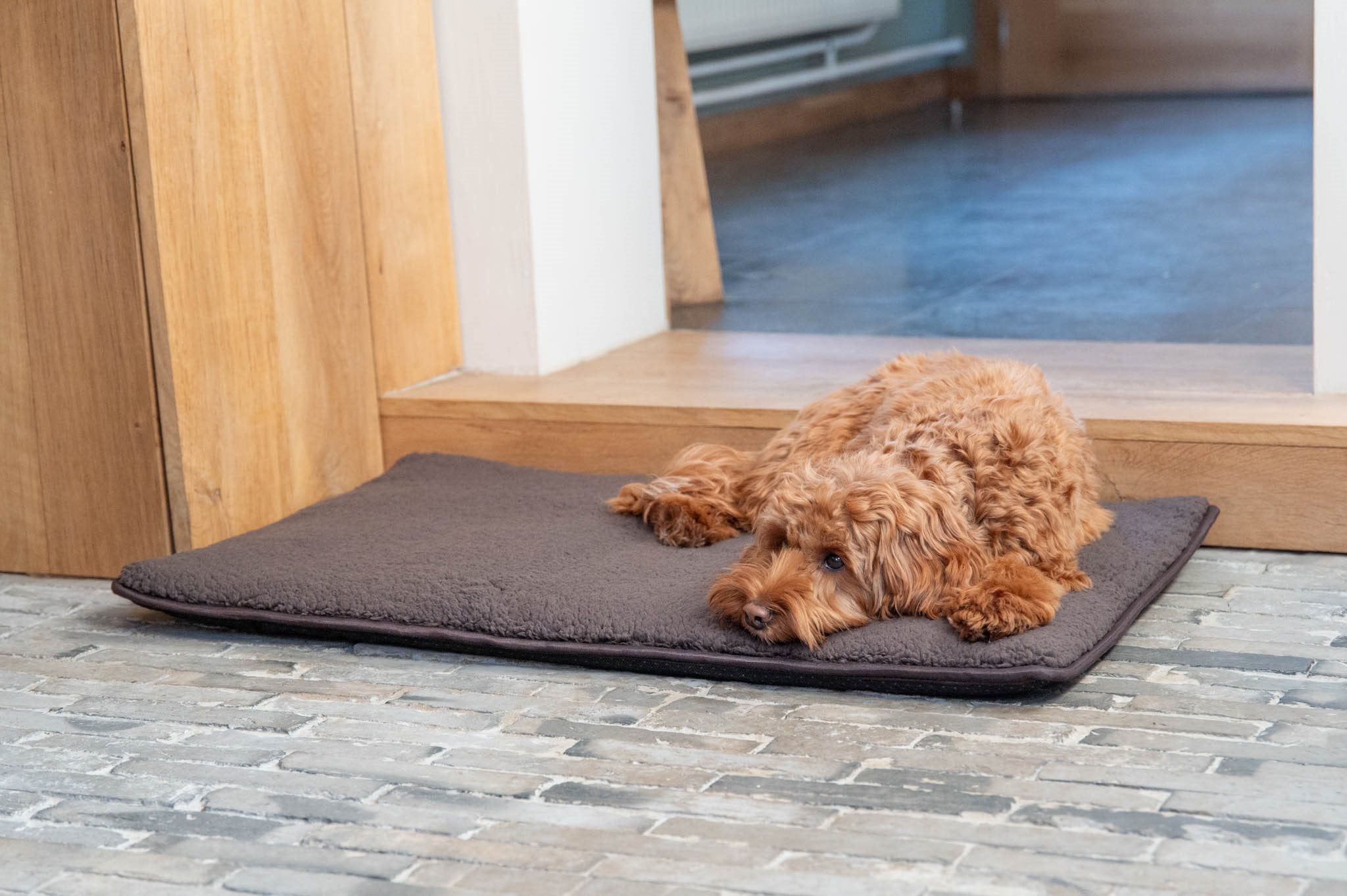 JV BROOKLYN Benchkussen Bruin