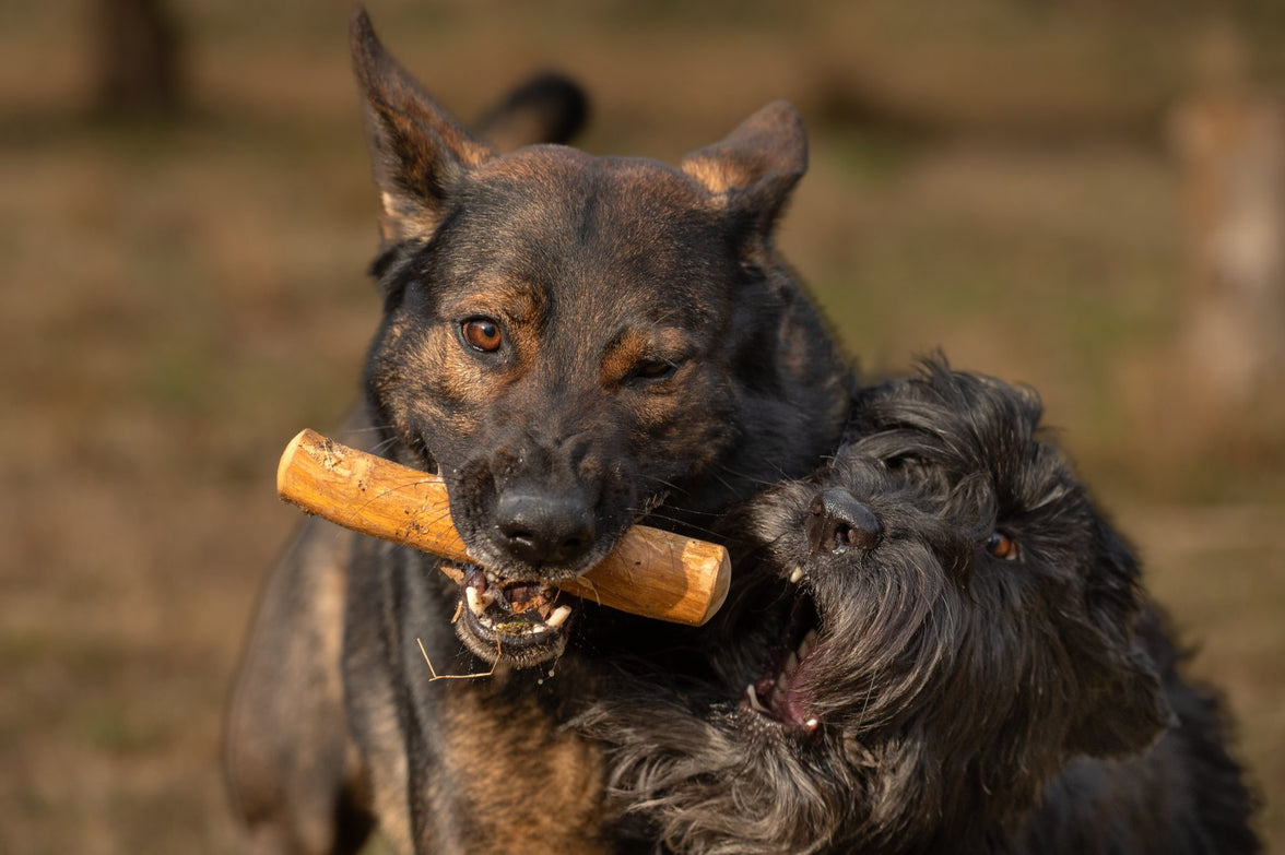 ALL NATURE Koffiehout Naturel L 150-200g