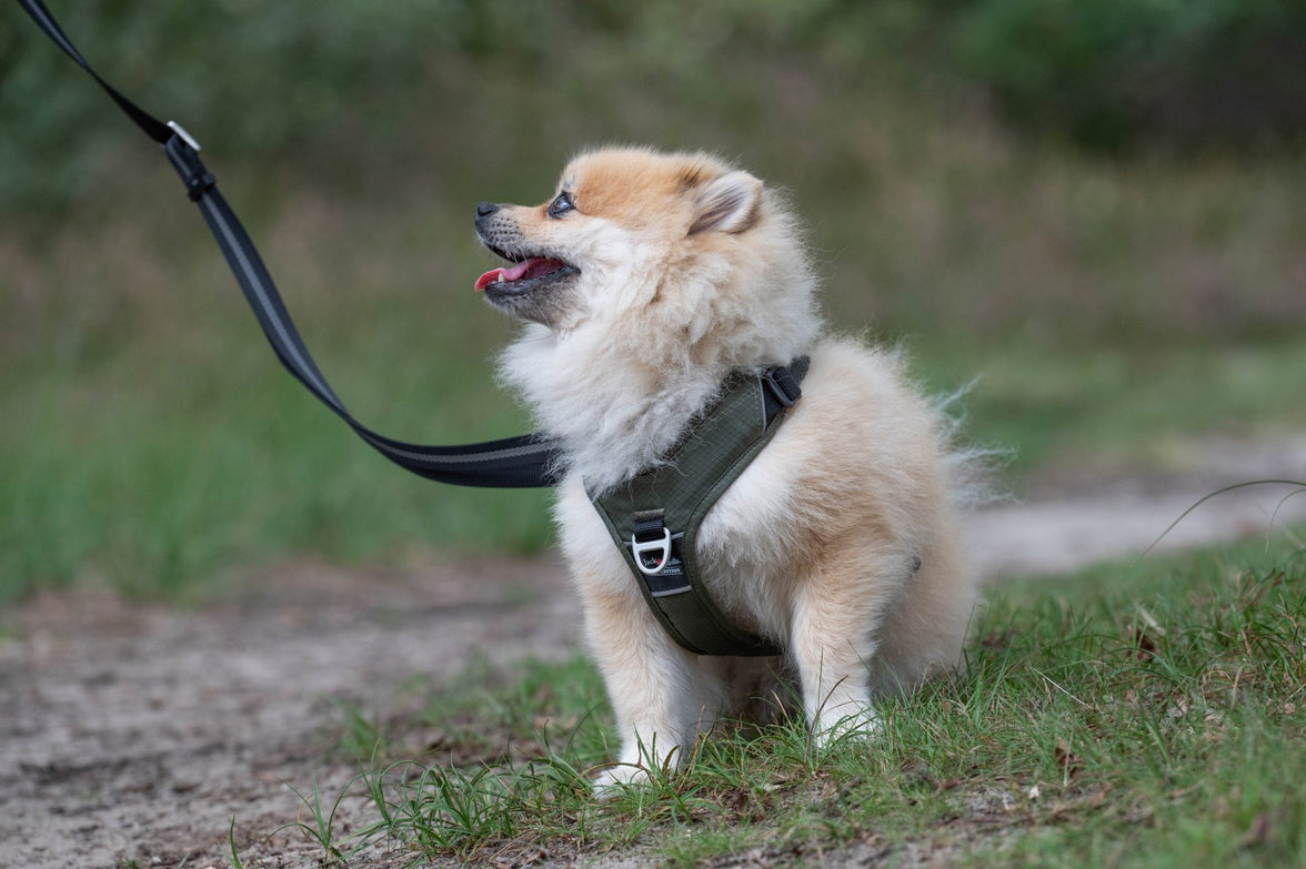 JV EXPEDITION Tuigje Olijfgroen