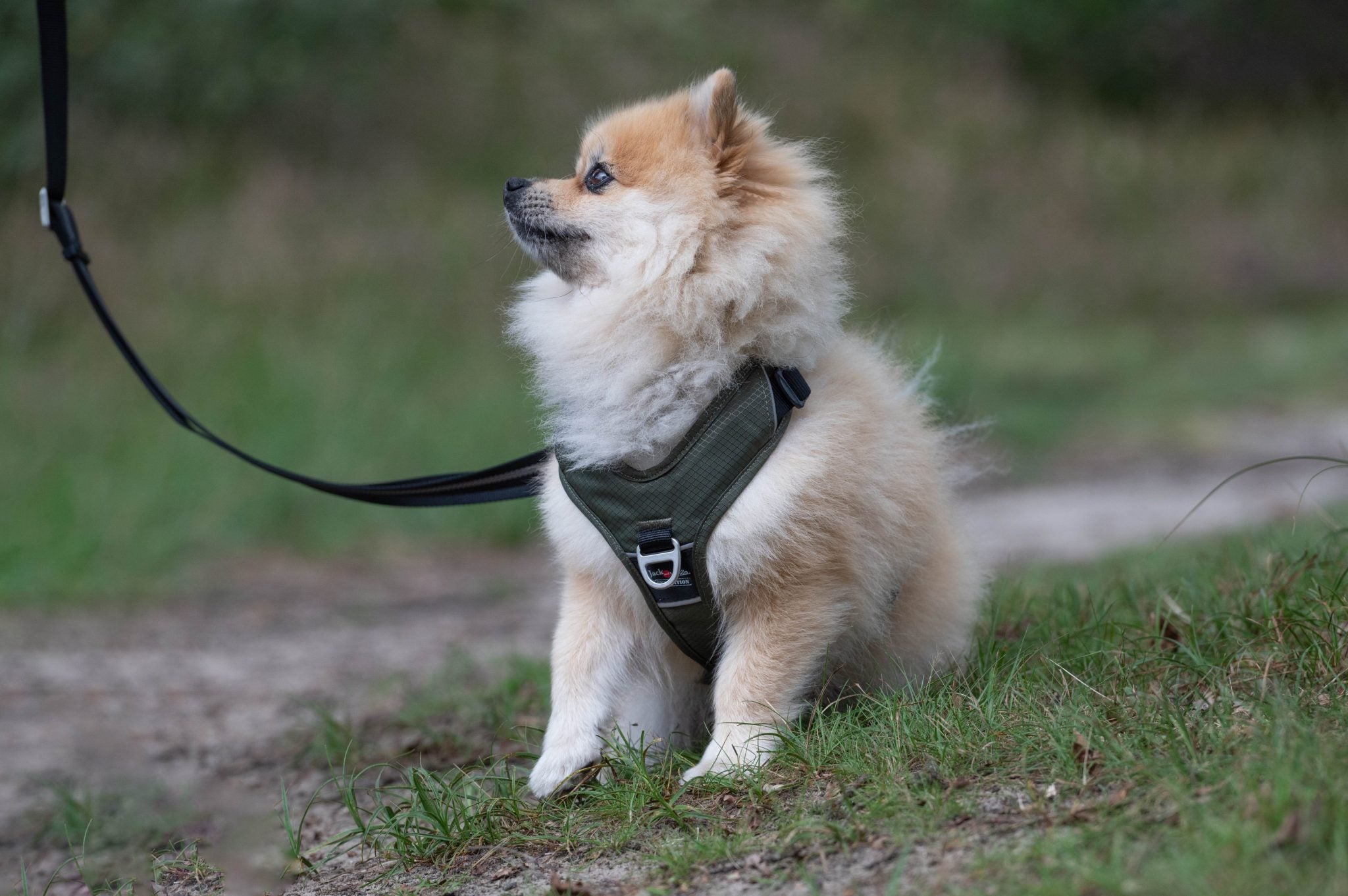 JV EXPEDITION Tuigje Olijfgroen