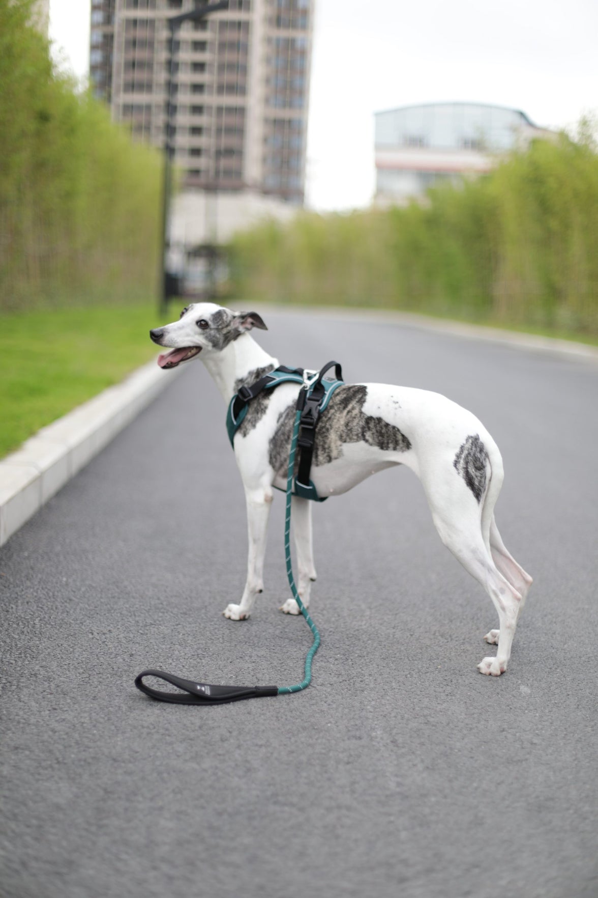 JV EXPEDITION Tuigje Blauw