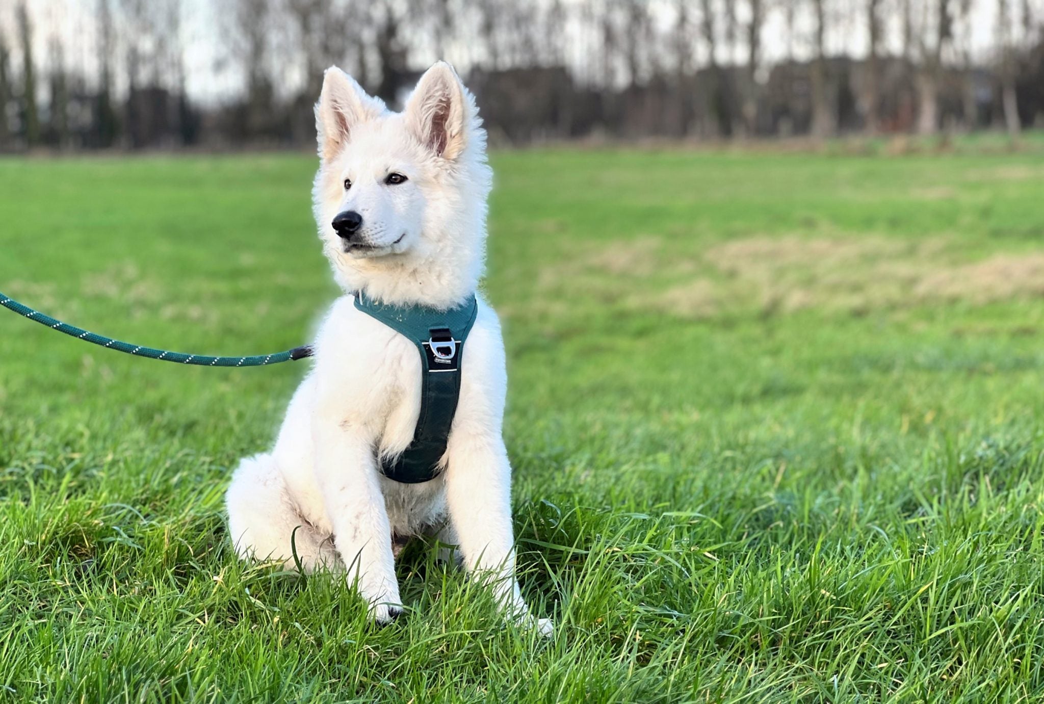 JV EXPEDITION Tuigje Blauw