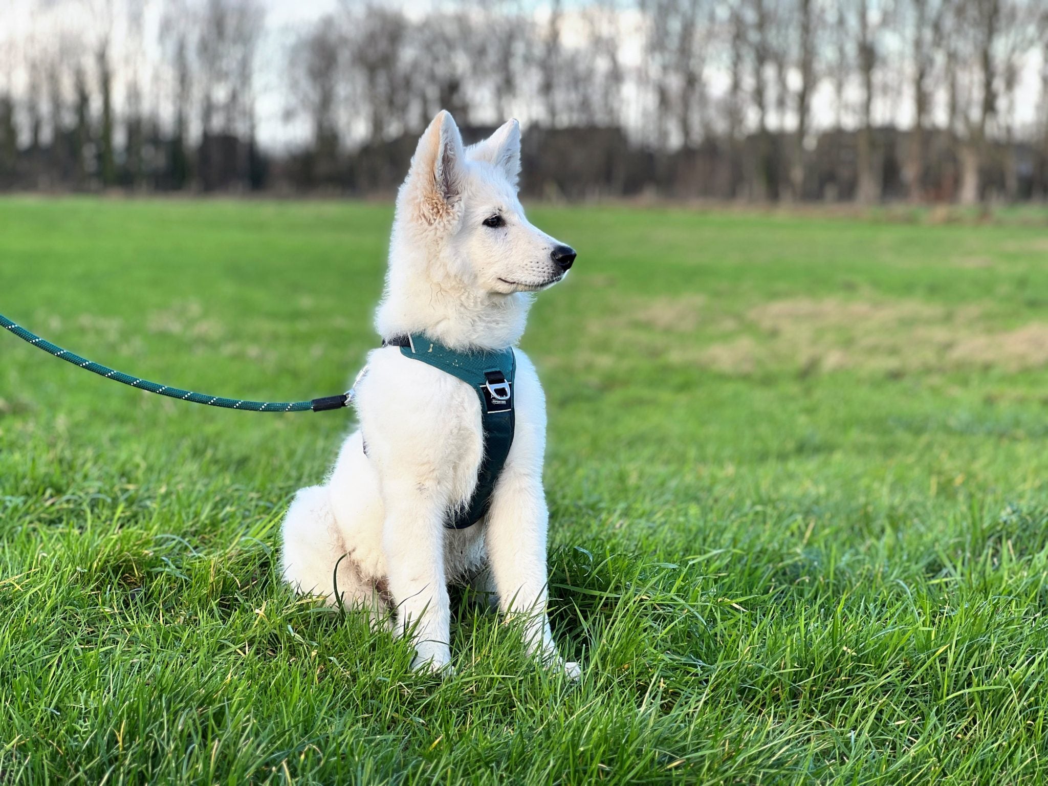 JV EXPEDITION Tuigje Blauw