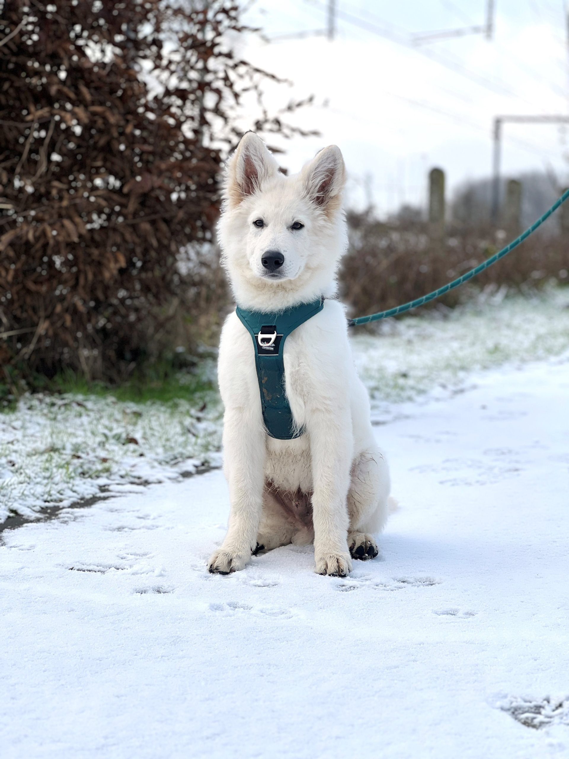 JV EXPEDITION Tuigje Blauw