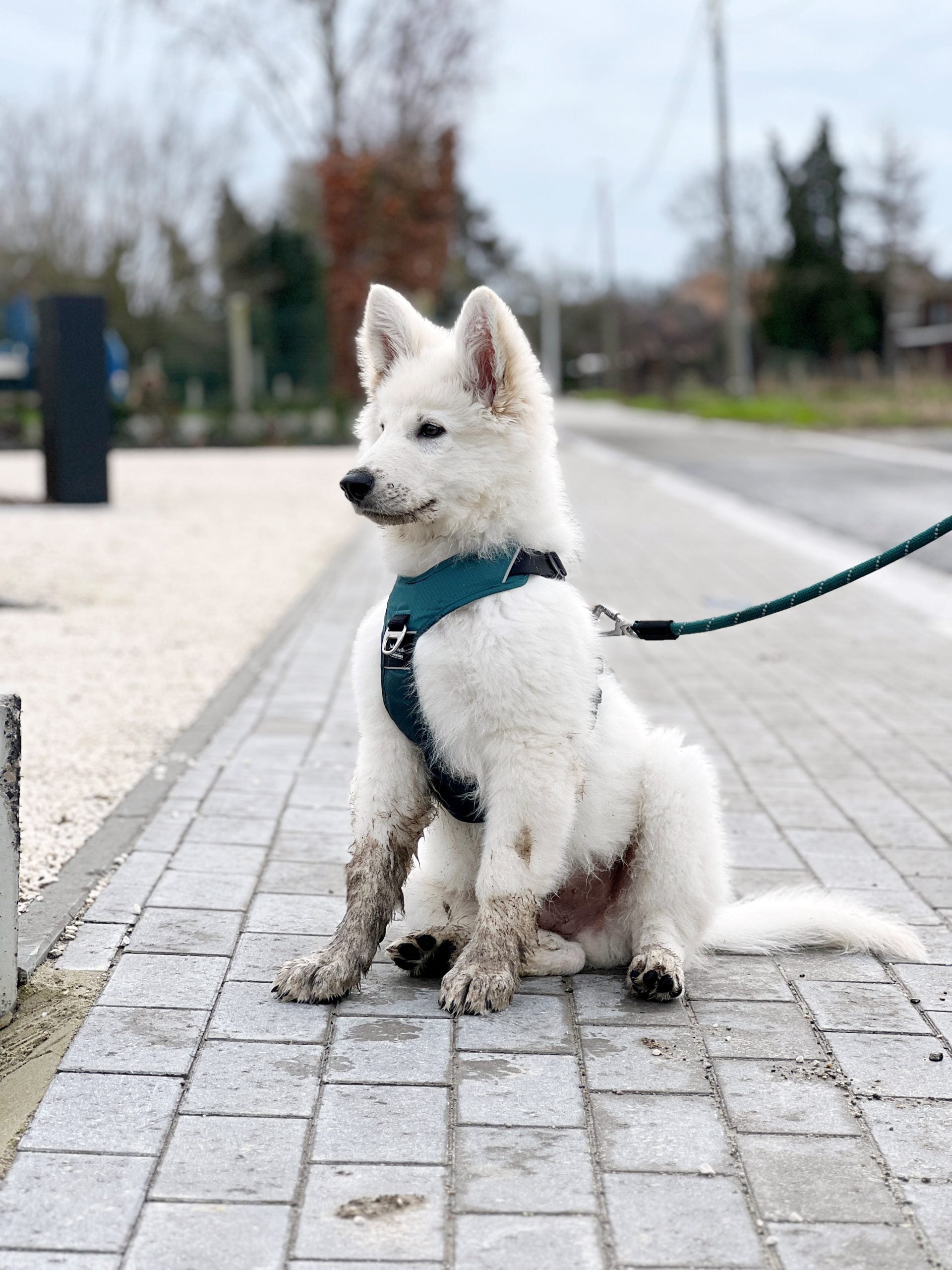 JV EXPEDITION Tuigje Blauw