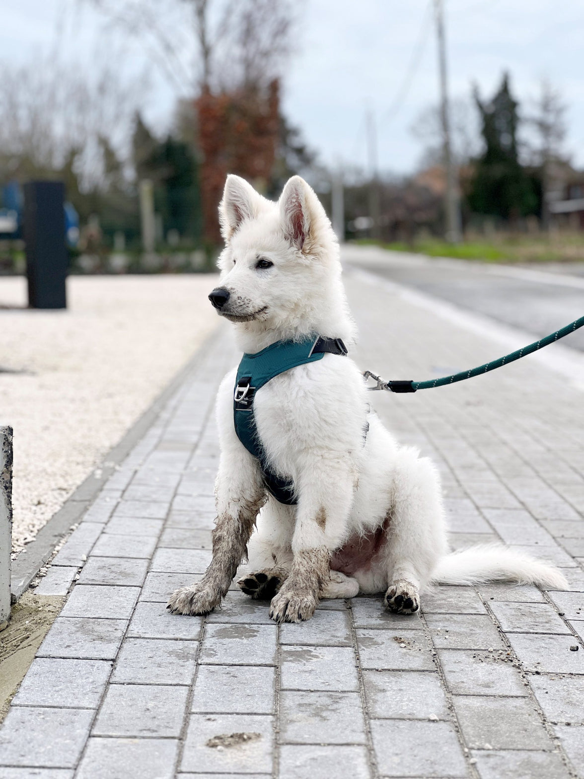 JV EXPEDITION Tuigje Blauw