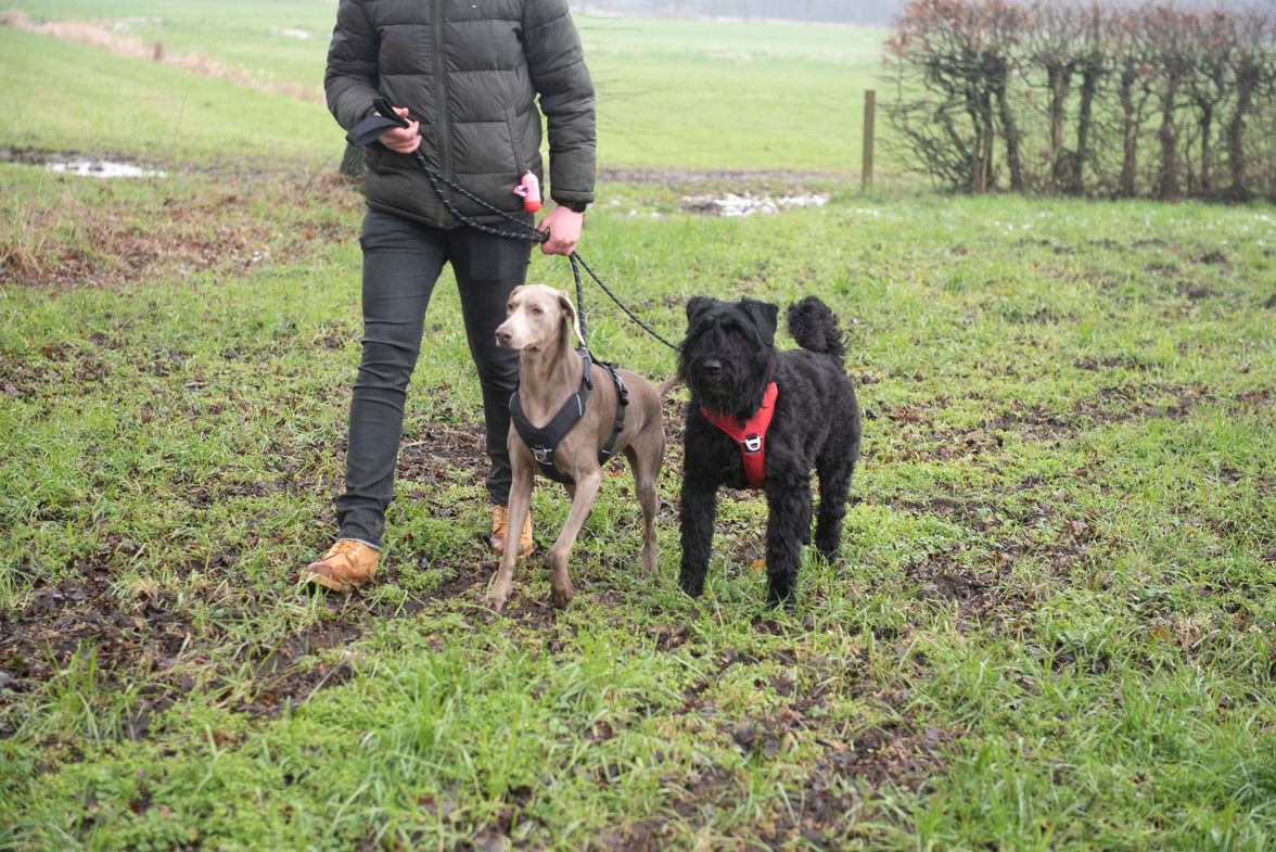 JV EXPEDITION Tuigje Rood