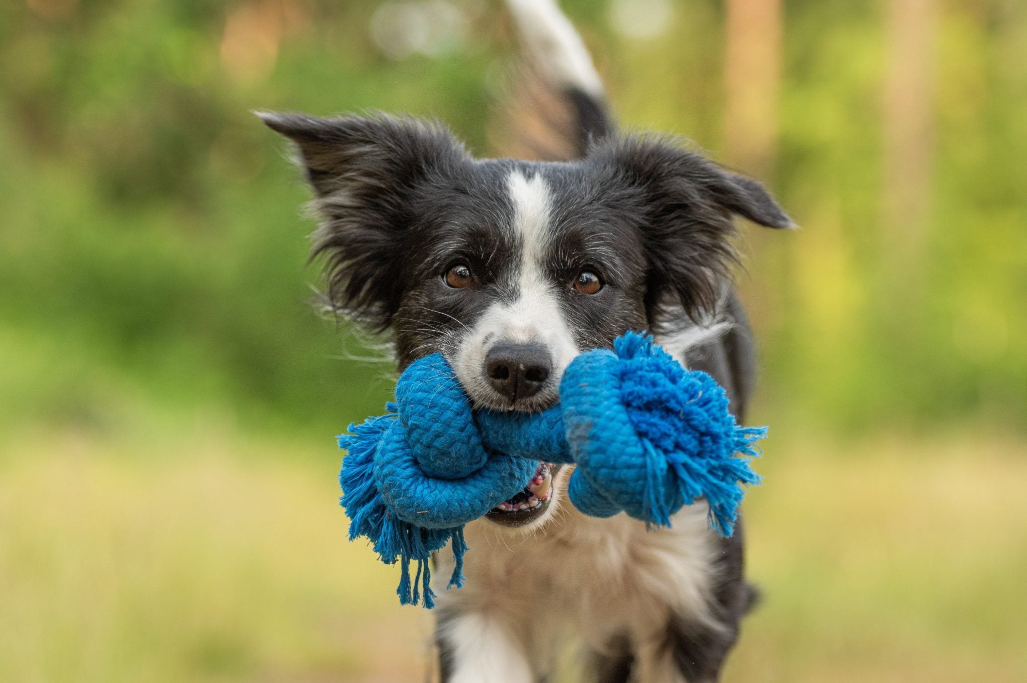 JV PLAYSCENT Touw Bacon-215g 25cm