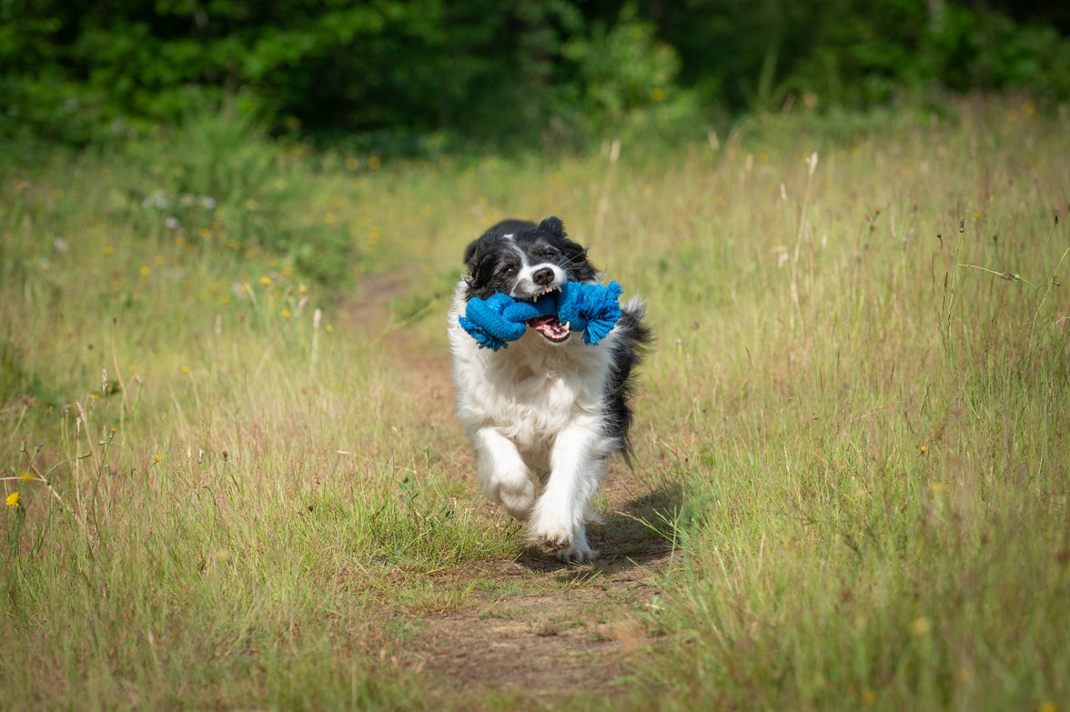 JV PLAYSCENT Touw Bacon-215g 25cm