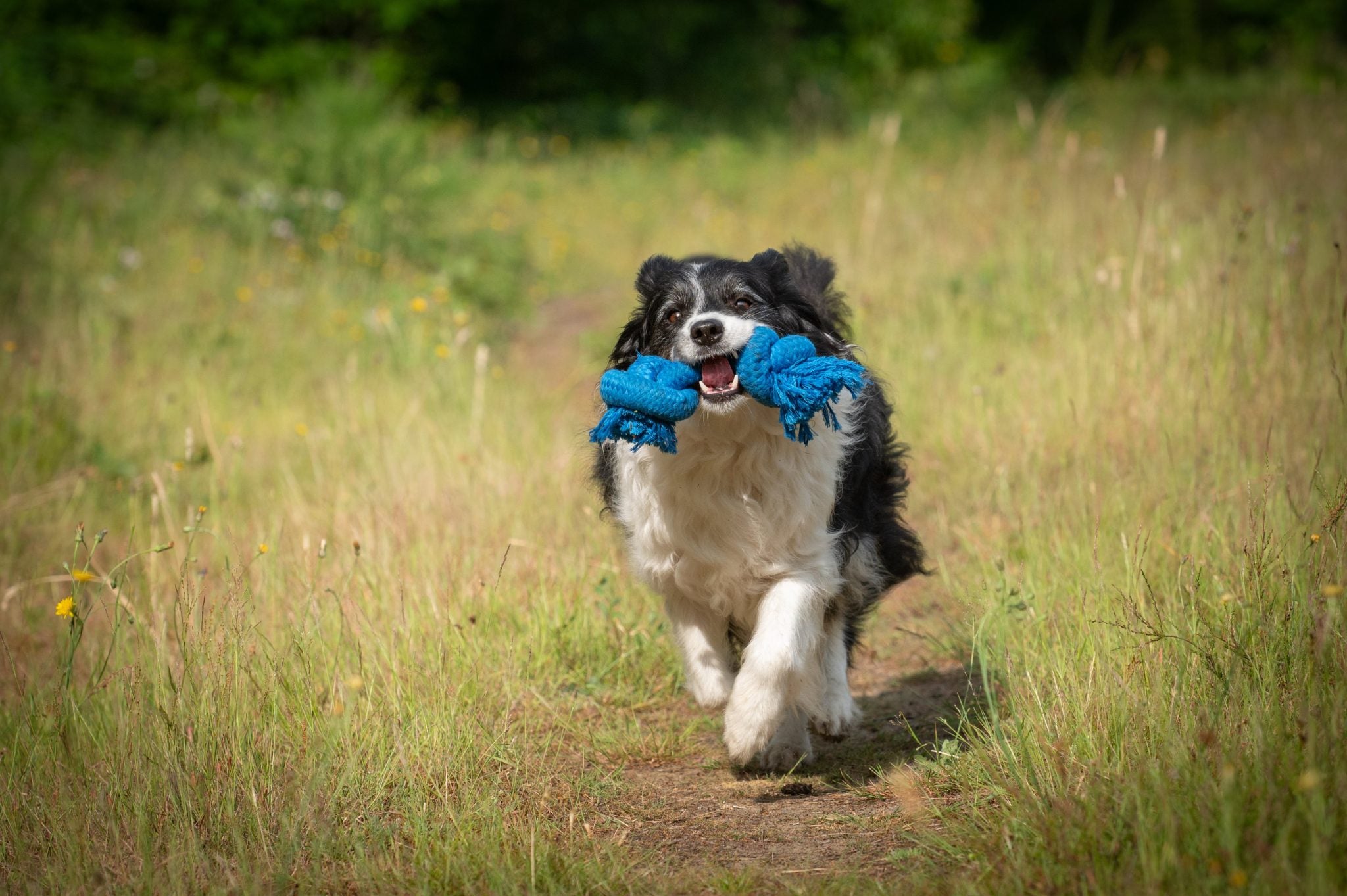 JV PLAYSCENT Touw Bacon-215g 25cm