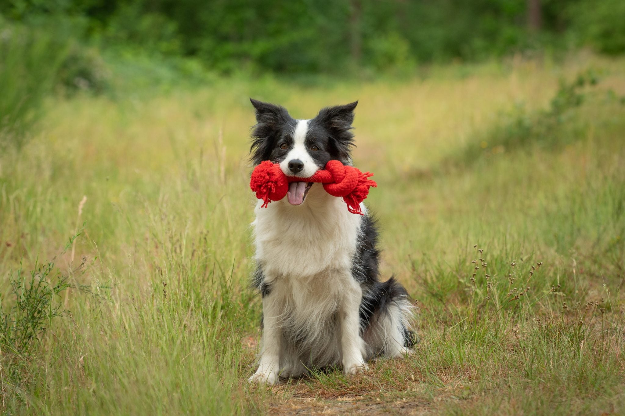 JV PLAYSCENT Touw Runds-215g 25cm