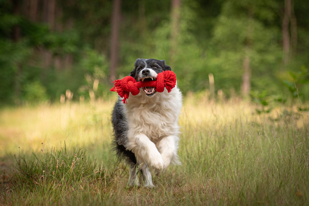 JV PLAYSCENT Touw Runds-215g 25cm