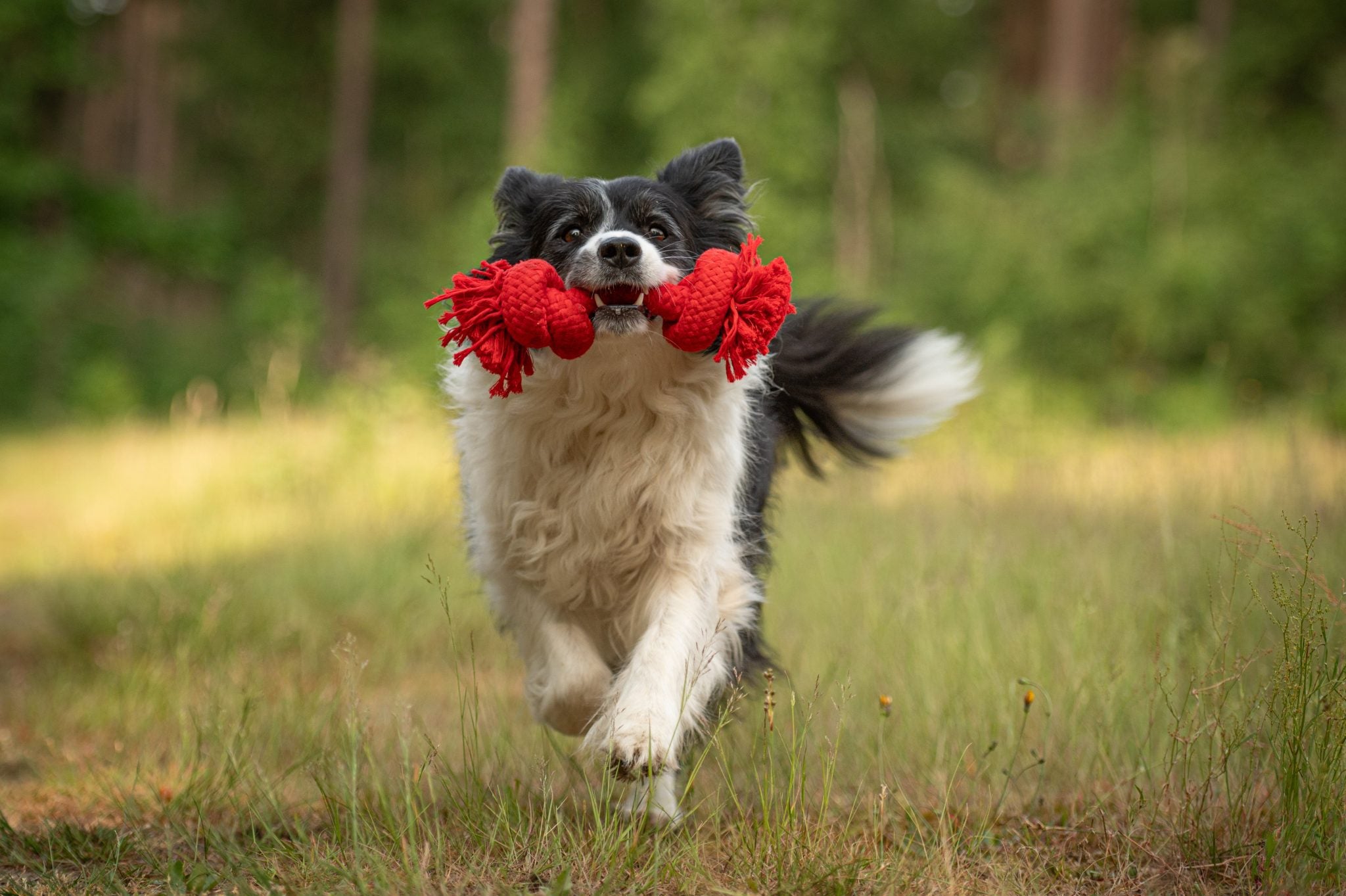 JV PLAYSCENT Touw Runds-215g 25cm