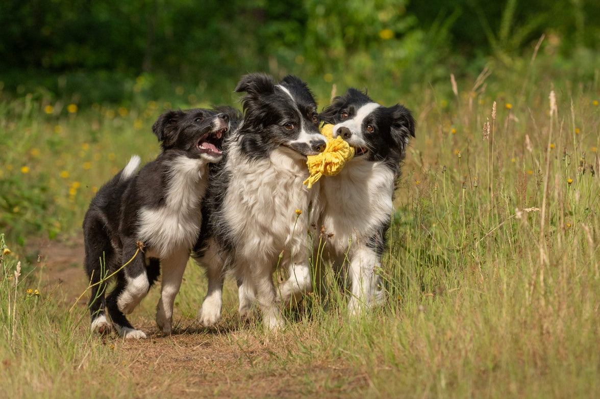 JV PLAYSCENT Touw Kip-215g 25cm